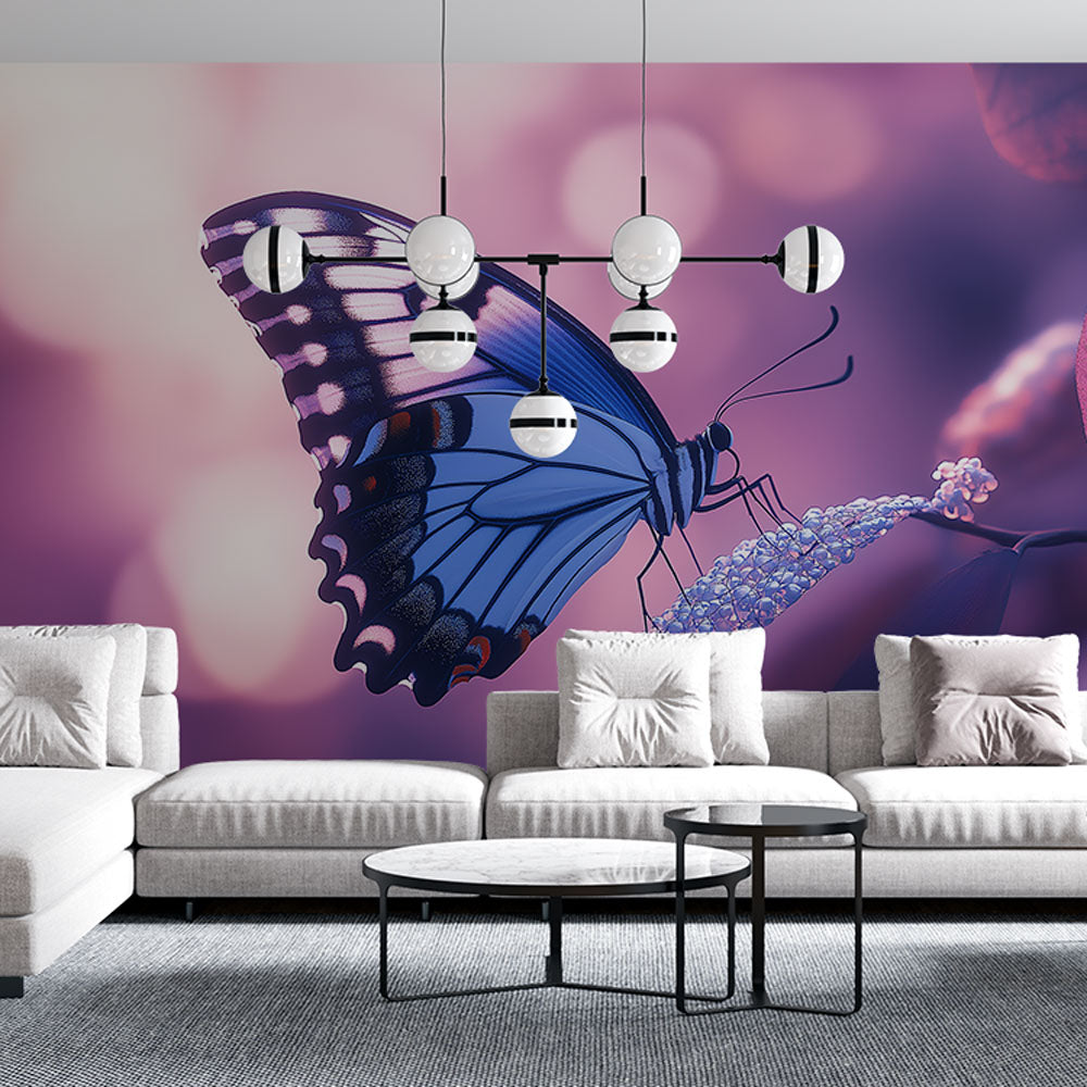 Butterfly Wallpaper | Colorful Wings on Dreamy Background