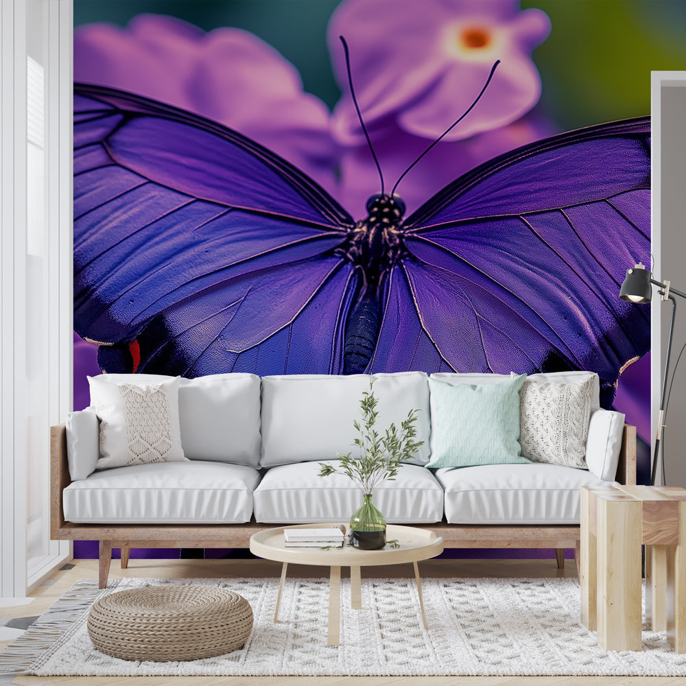 Butterfly Wallpaper | Violet Butterfly on Purple Blossoms