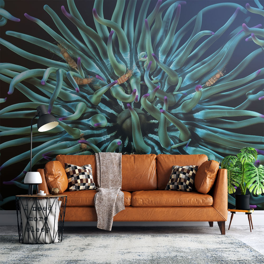 Anemone Wallpaper | Vibrant Turquoise Marine Wall Mural