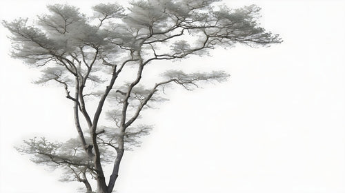 Bathroom Wallpaper | Realistic Black and White Tree Mural