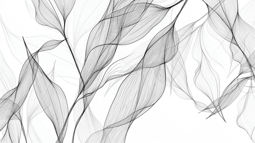 Bathroom Wallpaper | Abstract Black White Foliage Mural