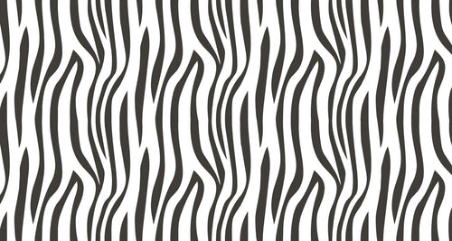 Bathroom Wallpaper | Modern Black and White Zebra Design