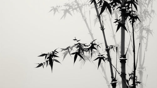 Bamboo Wallpaper | Elegant Black and White Wall Mural