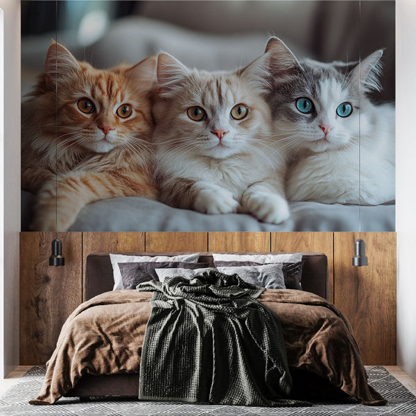 Cats Wallpaper - Trio De Félins Adorables