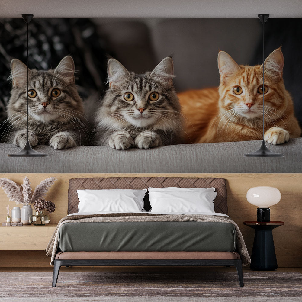 Designer Wallpaper - Trio De Chatons Sur Canapé