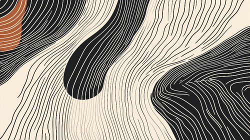 Abstract Linear Wallpaper | Black White Terracotta Wall Mural