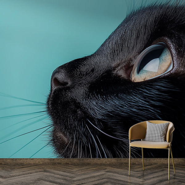 Animal Wallpaper | Black Cat Turquoise Wall Mural