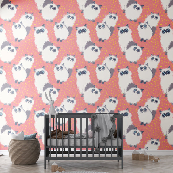 Cute Cat Wallpaper | Expressive Kittens Wall Mural on Coral