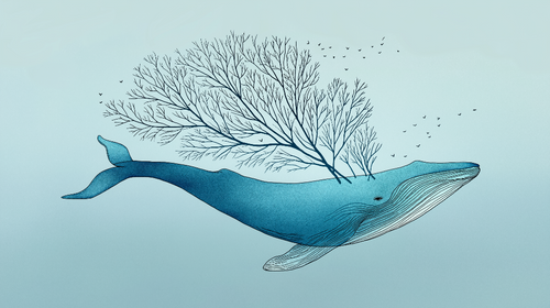 Artistic Whale Wallpaper | Tree Branch Silhouette Mural