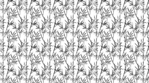 Bamboo Wallpaper | Black and White Forest Wall Mural
