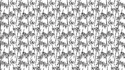 Black & White Bamboo Wallpaper | Modern Wall Mural