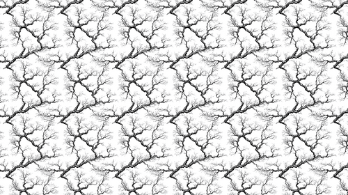Bare Branches Wallpaper | B&W Delicate Wall Mural