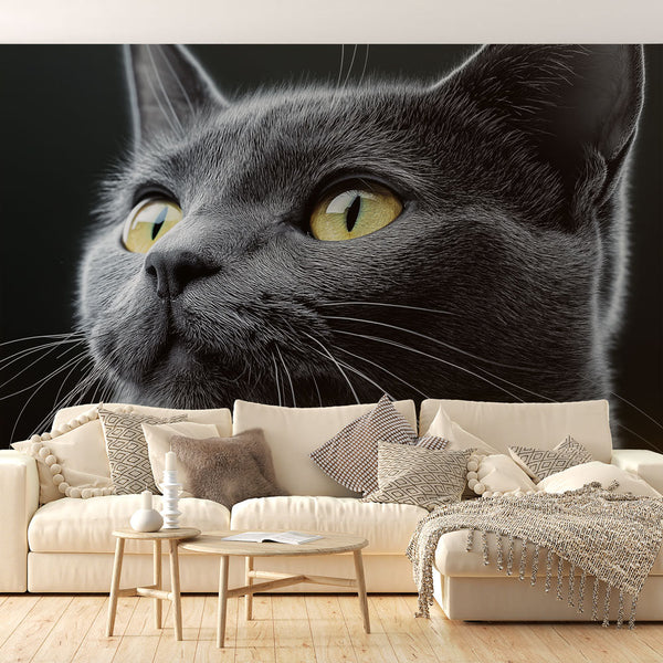 Elegant Cat Wallpaper | Black Cat Yellow Eyes Mural