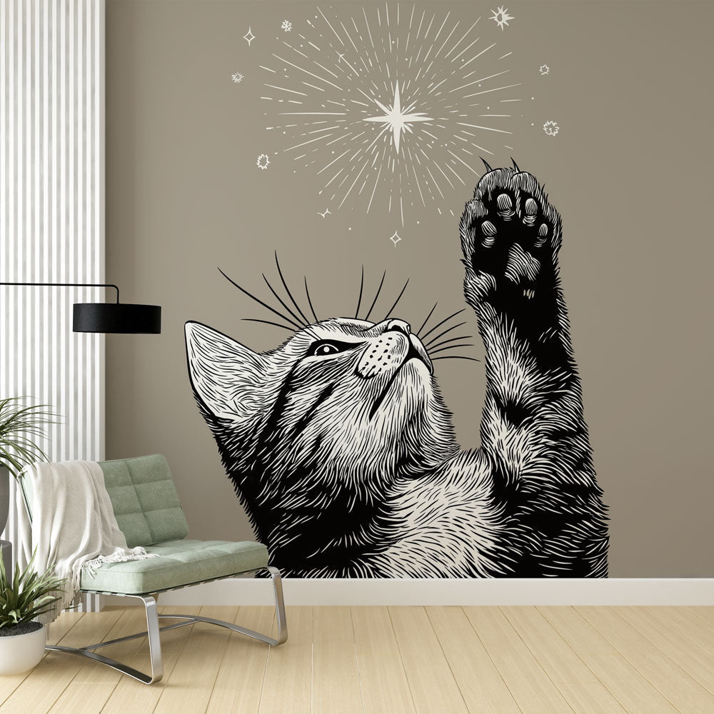 Magic Cat Wallpaper | Playful Cat Reaching for Bright Stars