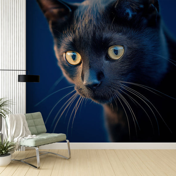 Black Cat Wallpaper | Captivating Golden Eyes Wall Mural