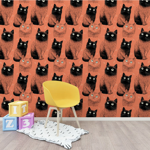 Cat Wallpaper | Playful Colorful Cats on a Soft Pink Ground
