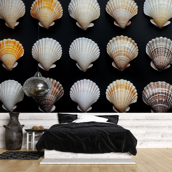 Natural Shell Collection Wallpaper | Curated Wall Mural