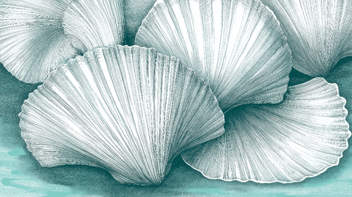 Aquatic Shell Wallpaper | Elegant Green Background Wall Mural