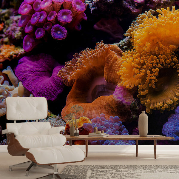 Coral wallpaper | Vibrant underwater reef wall mural design