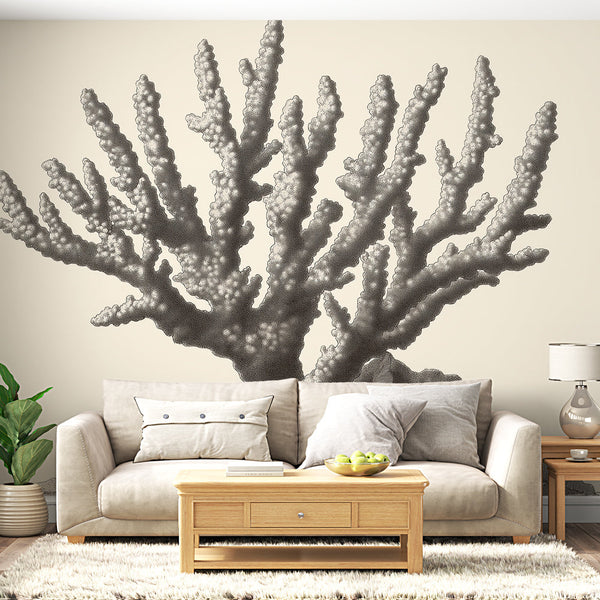 Delicate Coral Wallpaper | Monochrome Wall Mural