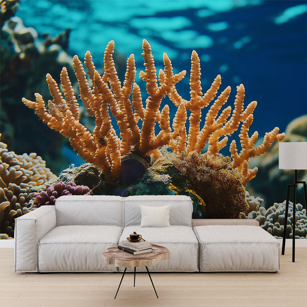 Coral Wallpaper | Luminous Underwater Coral in Warm Tones