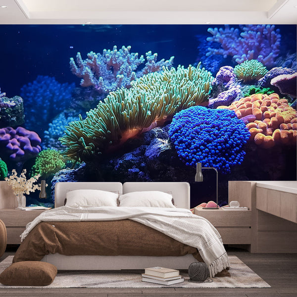 Coral wallpaper | Vibrant colorful underwater reef wall mural