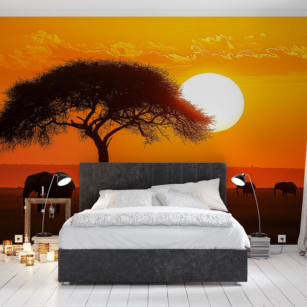 Sunset Wallpaper | African Elegance with Elephants