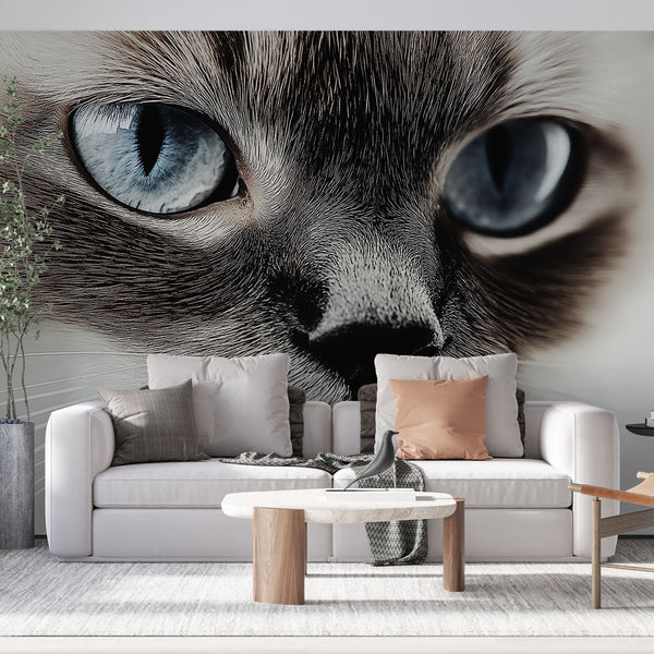 Feline Wallpaper | Bright-Eyed Cat Portrait Wall Mural
