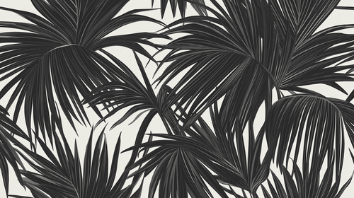 Black & White Palm Leaf Wallpaper | Stylised Fronds