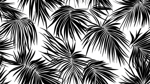 Black & White Foliage Wallpaper | Bold Tropical Mural