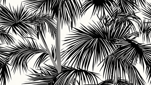 Black & White Palm Wallpaper | Stylised Foliage Mural