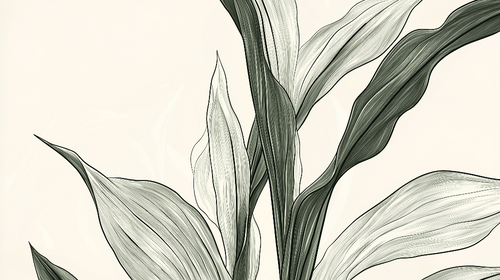 Abstract Banana Leaf Wallpaper | Graphic Delicate Mural