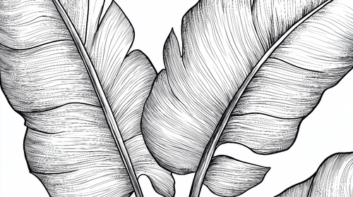 Banana Leaf Wallpaper | Black and White Illustrated Leaves
