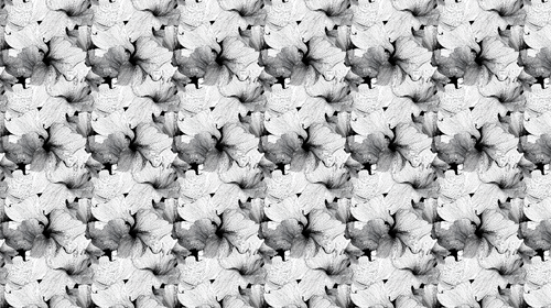 Black & White Flowers Wallpaper | Delicate Artistic Wall Mural