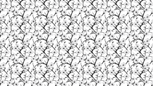 Black & White Floral Wallpaper | Blossoming Branches Mural