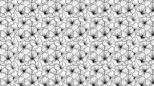 Black & White Detailed Flowers Wallpaper Wall Mural