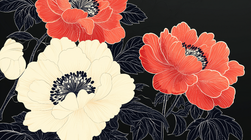 Anemones Wallpaper | Red White Blooms on Black Wall Mural