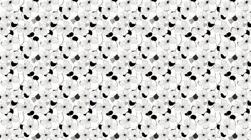 Black & White Floral Wallpaper | Elegant Contour Wall Mural