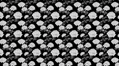Black & White Chrysanthemum Wallpaper | Delicate Wall Mural