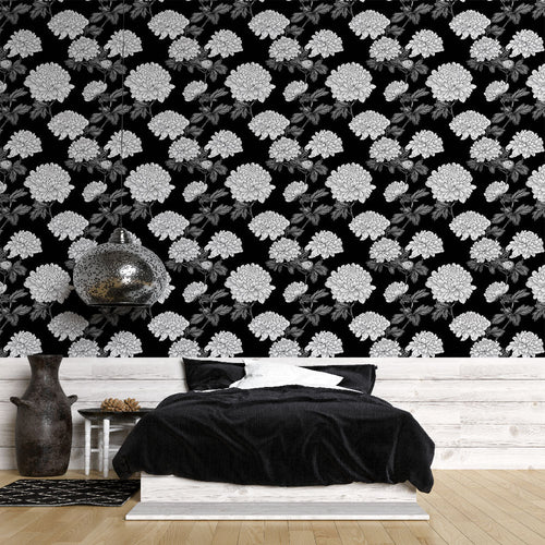 Black and white chrysanthemum wallpaper with elegant white flowers on dark ground