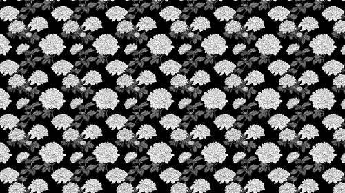 Black & White Chrysanthemum Wallpaper | Elegant Floral Wall Mural