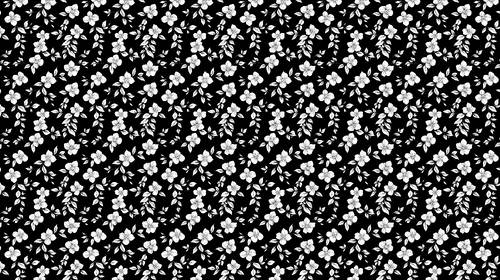 Black & White Floral Wallpaper | Dark Wall Mural