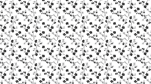 Black & White Floral Wallpaper | Delicate Blooms Wall Mural
