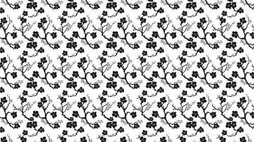 Black & White Floral Wallpaper | Branches on White
