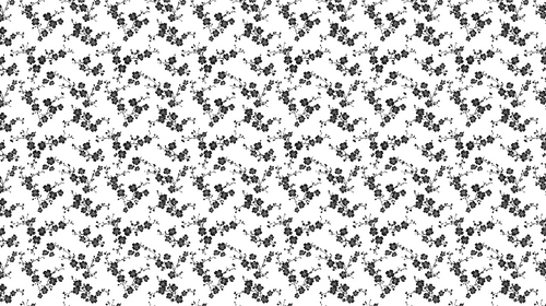 Black & White Floral Wallpaper | Elegant Branches Wall Mural