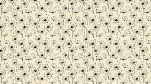 Black & White Floral Wallpaper | Elegant Flowers Cream