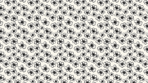 Black & White Floral Wallpaper | Delicate Blooms on Cream