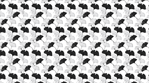 Black & White Ginkgo Wallpaper | Graphic Leaves