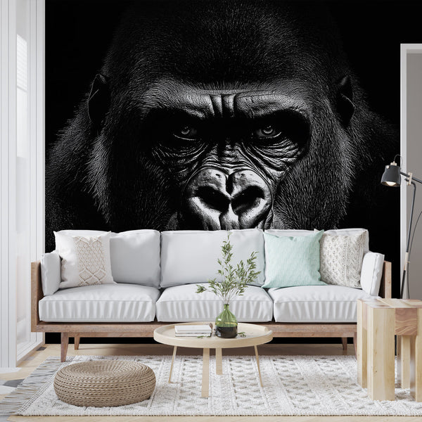Striking Gorilla Wallpaper | Bold Portrait on Black