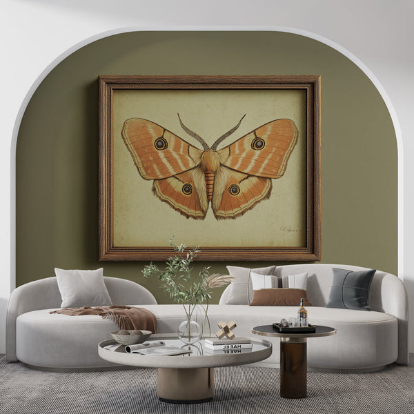 Vintage Butterfly Wallpaper with Orange Wings